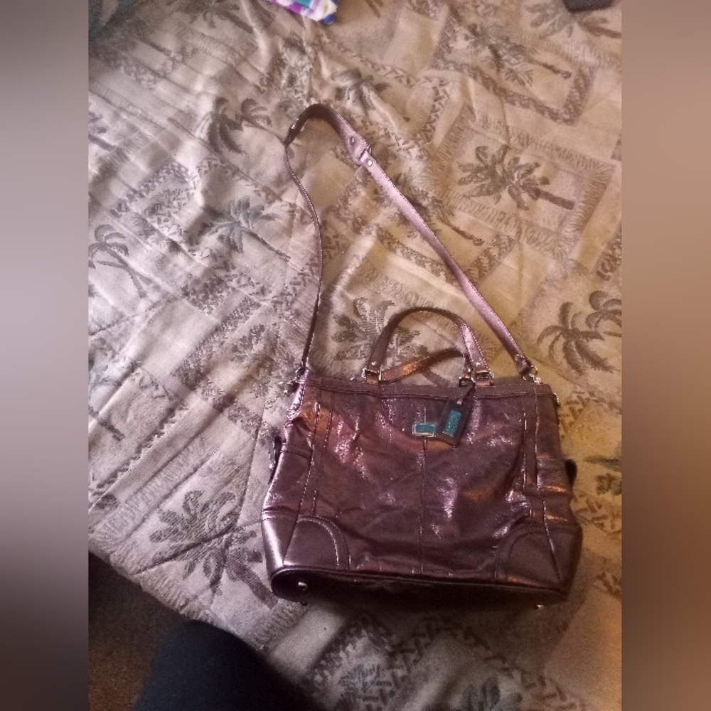 The sak handbag